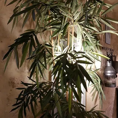 Dans De Flaux Uzes